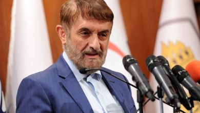 بدون شبکه‌سازی اقتصادی، بهره‌وری در کشور محقق نمی‌شود