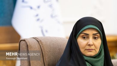 صادق: به تعرفه‌های سنگین واردات خودرو نه می‌گوییم