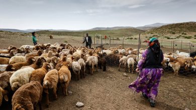 آمادگی کامل برای خدمات‌رسانی بی‌وقفه به عشایر کشور
