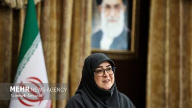 مهاجرانی: اجرای طرح بیمه سهام از اقدامات حمایتی دولت از بازار بورس بود
