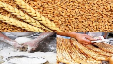 تولید در صنعت نان ۵ درصد رشد کرد