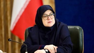 مهاجرانی:عبور از ناترازی برق تابستان با کمک مردم، بخش دولتی و خصوصی
