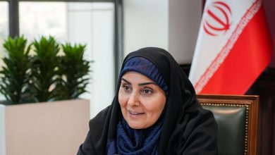 وزیر راه از یک طرح درمانی در بوشهر بازدید کرد