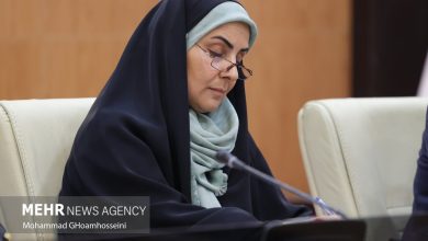 وزیر راه و شهرسازی: مشارکت بخش‌ خصوصی در حمل ونقل ریلی افزایش می‌یابد