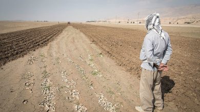 آب به کشاورزان رفیع رسید