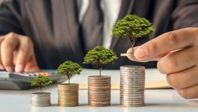 شرط موفقیت طرح رویش وزارت اقتصاد اعتمادسازی است