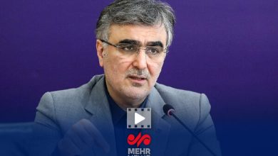 فرزین: بانک‌ها باید از بنگاه‌داری خارج شوند