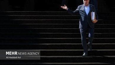 تأکید وزیر جهاد کشاورزی بر ثمربخش بودن مذاکرات در مسکو تأکید وزیر جهاد کشاورزی بر ثمربخش بودن مذاکرات در مسکو