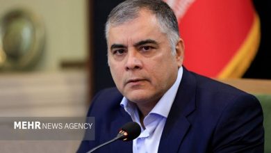 پاکنژاد: در وزارت نفت شاهد «حراست مچگیر» نیستیم پاکنژاد: در وزارت نفت شاهد «حراست مچگیر» نیستیم