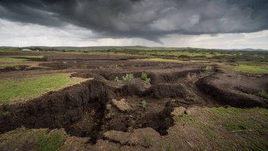 مدیریت نادرست خاک در شهرها به بروز آسیب‌های اجتماعی می‌انجامد