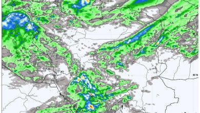 هشدار قرمز در یک استان؛ نفوذ سرمای شدید و خطر سرمازدگی محصولات کشاورزی هشدار قرمز در یک استان؛ نفوذ سرمای شدید و خطر سرمازدگی محصولات کشاورزی